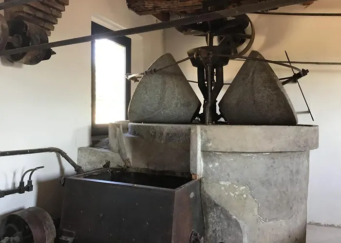 El Moli De Cal Pastisser * Avellanes