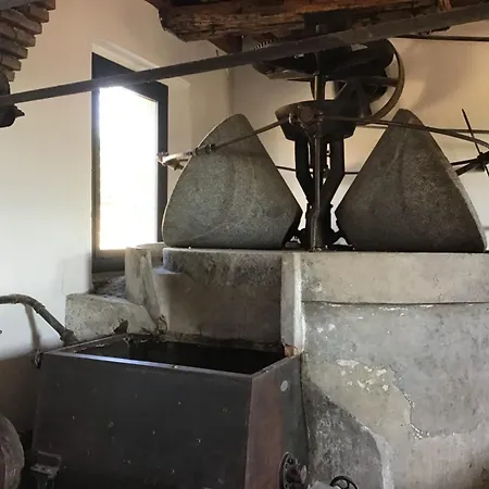 El Molí De Cal Pastisser * Avellanes